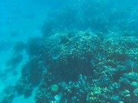 IMG_20250110_111024.jpg