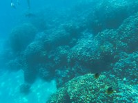 IMG_20250110_111108.jpg