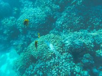IMG_20250110_111126.jpg
