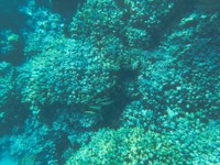 IMG_20250110_111307.jpg