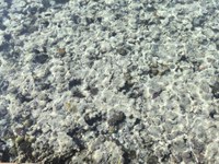 IMG_20250110_113905.jpg
