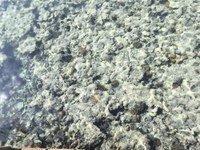 IMG_20250110_113923.jpg