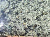 IMG_20250110_113934.jpg
