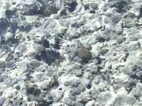 IMG_20250110_113948.jpg