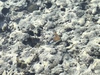 IMG_20250110_113949.jpg