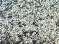 IMG_20250110_114004.jpg