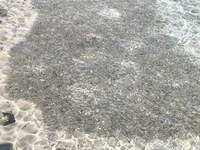 IMG_20250110_114824.jpg