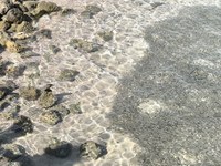 IMG_20250110_114830.jpg