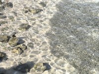 IMG_20250110_114922.jpg