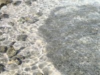IMG_20250110_115128.jpg