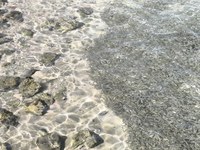 IMG_20250110_115148.jpg