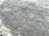 IMG_20250110_115406.jpg