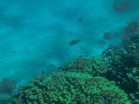 IMG_20250112_104704.jpg
