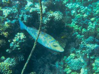 IMG_20250112_104847.jpg