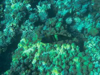 IMG_20250112_105019.jpg