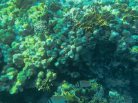 IMG_20250112_105100.jpg