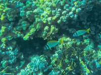 IMG_20250112_105104.jpg