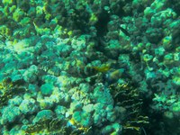 IMG_20250112_105122.jpg