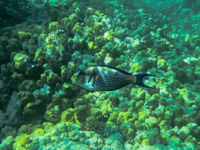 IMG_20250112_105127.jpg