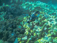 IMG_20250112_105130.jpg