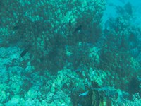 IMG_20250112_105159.jpg