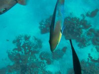 IMG_20250112_105613.jpg