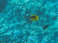 IMG_20250112_105715.jpg