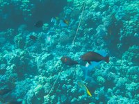 IMG_20250112_105723.jpg