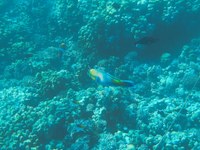 IMG_20250112_105736.jpg