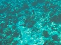 IMG_20250112_120229.jpg