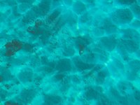 IMG_20250112_120419.jpg