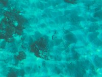 IMG_20250112_120430.jpg
