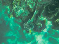 IMG_20250112_121305.jpg