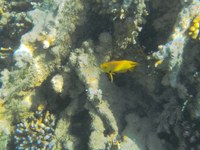 IMG_20250112_121443.jpg