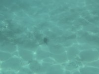IMG_20250112_121538.jpg