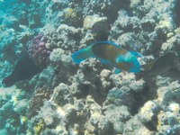 IMG_20250112_121649.jpg