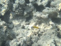 IMG_20250112_121656.jpg