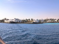 IMG_20250113_093532.jpg