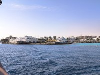 IMG_20250113_093534.jpg