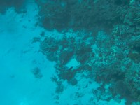 IMG_20250113_111557.jpg