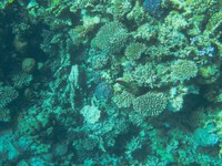 IMG_20250113_111615.jpg
