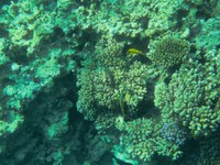 IMG_20250113_111630.jpg