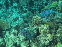 IMG_20250113_111649.jpg