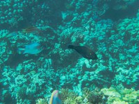 IMG_20250113_111709.jpg
