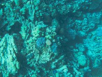 IMG_20250113_111754.jpg