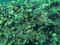 IMG_20250113_111823.jpg