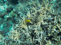 IMG_20250113_112951.jpg