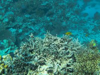 IMG_20250113_113013.jpg