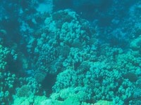 IMG_20250113_113803.jpg