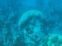 IMG_20250113_113823.jpg